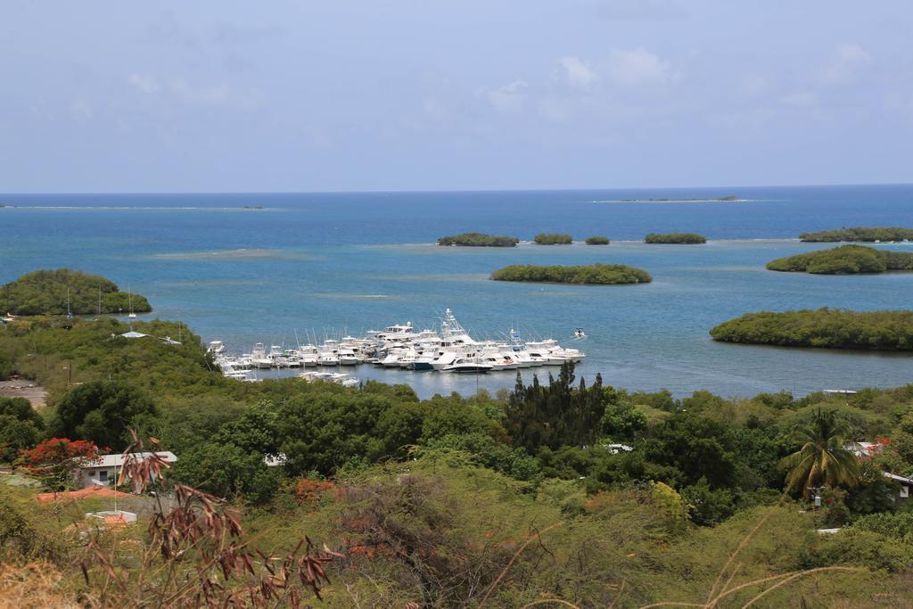 Bed & Breakfast Turtle Bay
