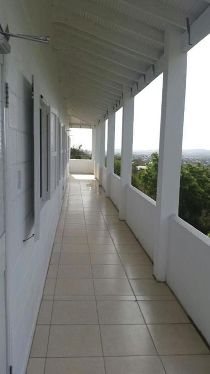 Date Palms Apartment St. John's