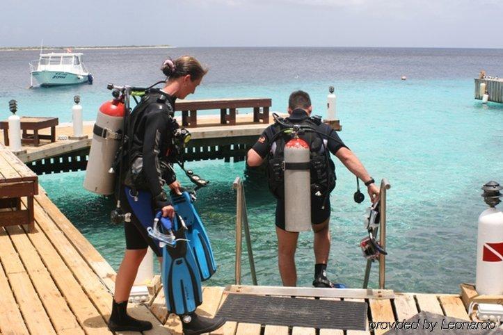 Aparthotel Buddy Dive Kralendijk (Bonaire)