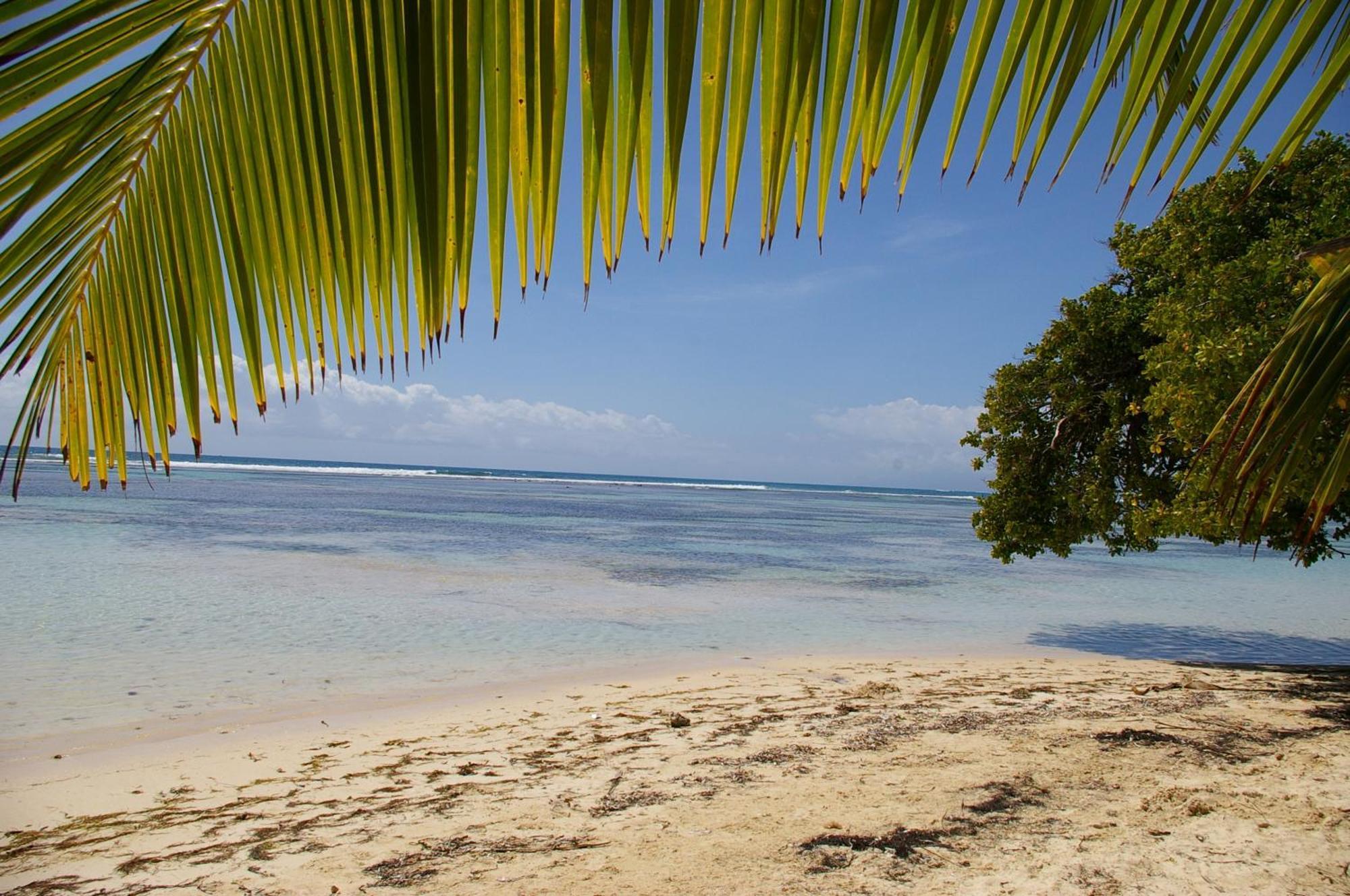 Lelagon Vue Mer, Pieds Dans L'eau *