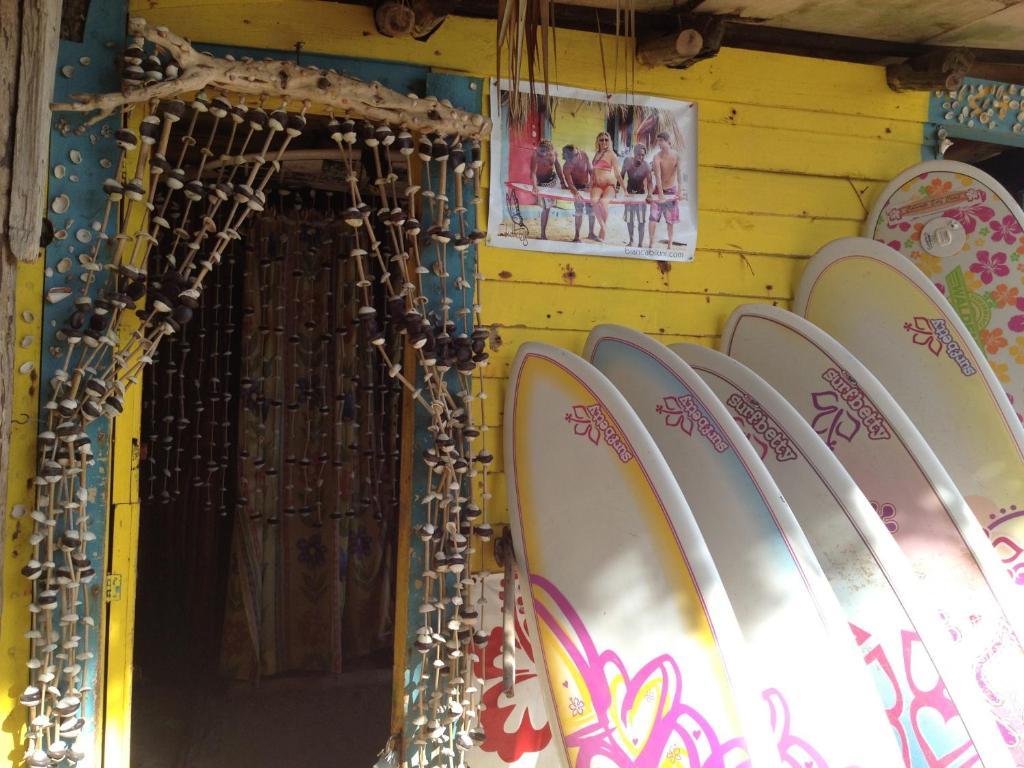 Surf Camp