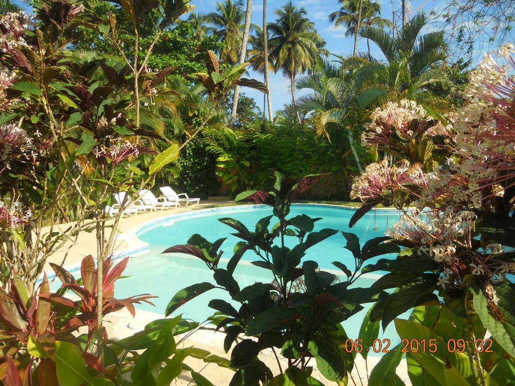 Caoba *