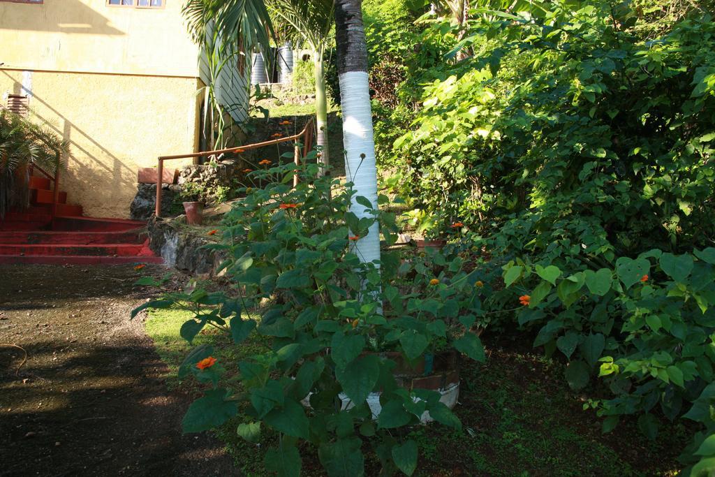 La Familia And Natural Farm Resort Port Antonio