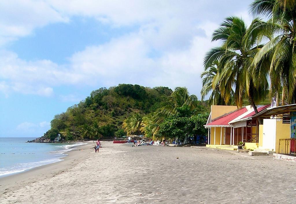 Caribbean Sea View Apartment
