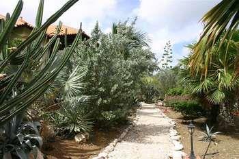 1 And 5 In Windsock Apartment Bonaire