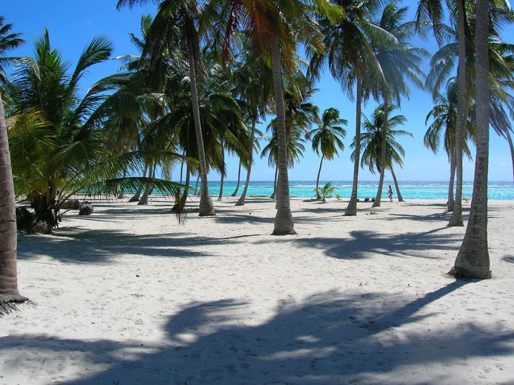 Caraibidamari *