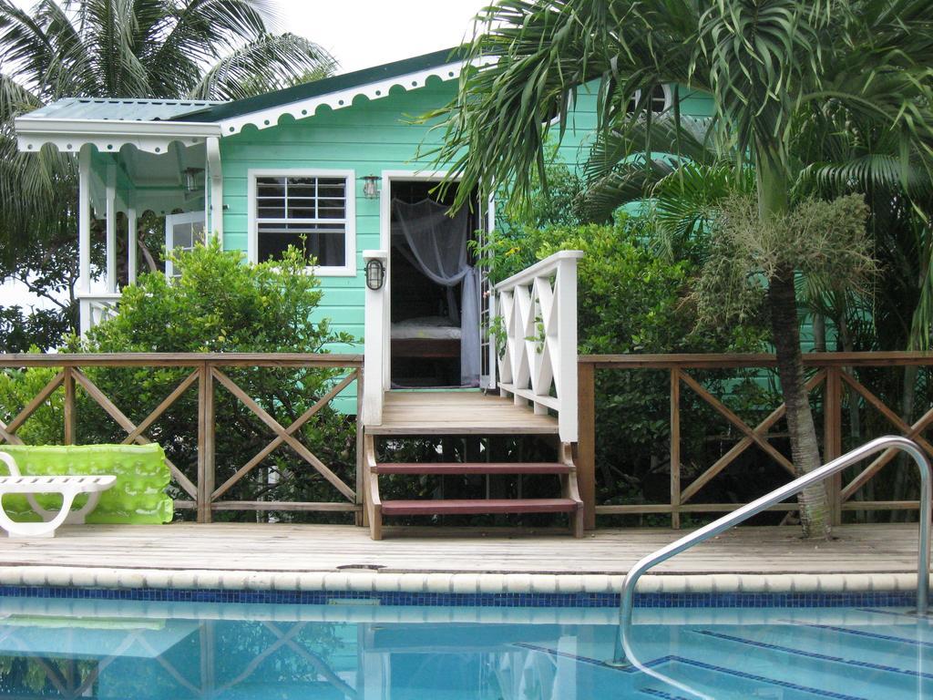 Palm Castries