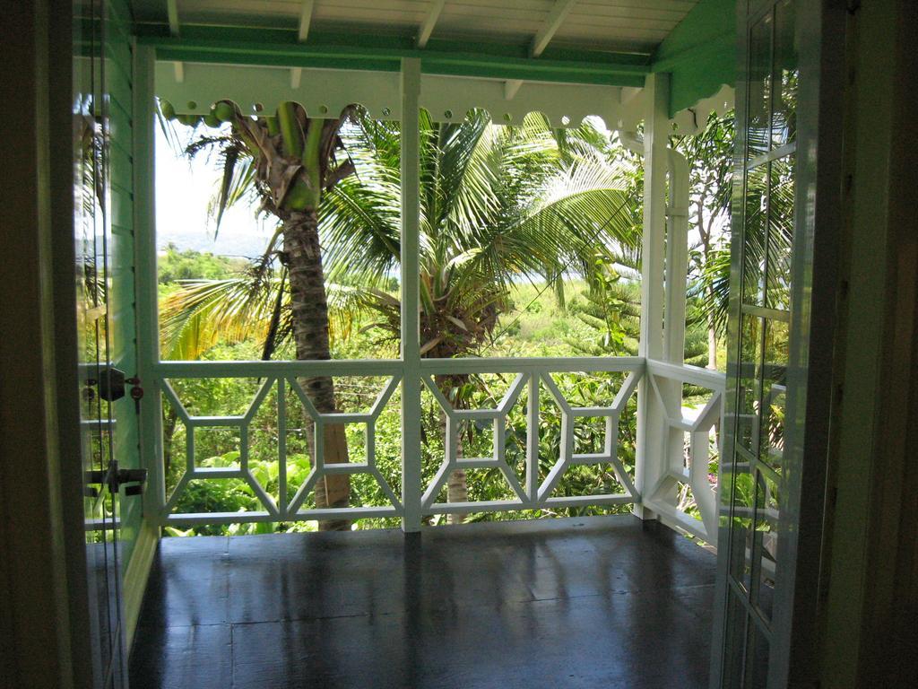 Lodge Palm Castries