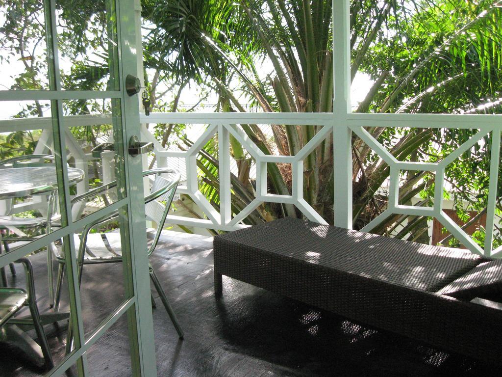 Lodge Palm *