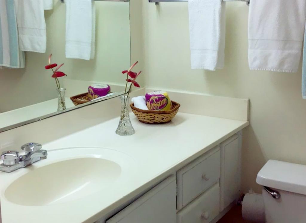 Sunset Shores 3* Kingstown