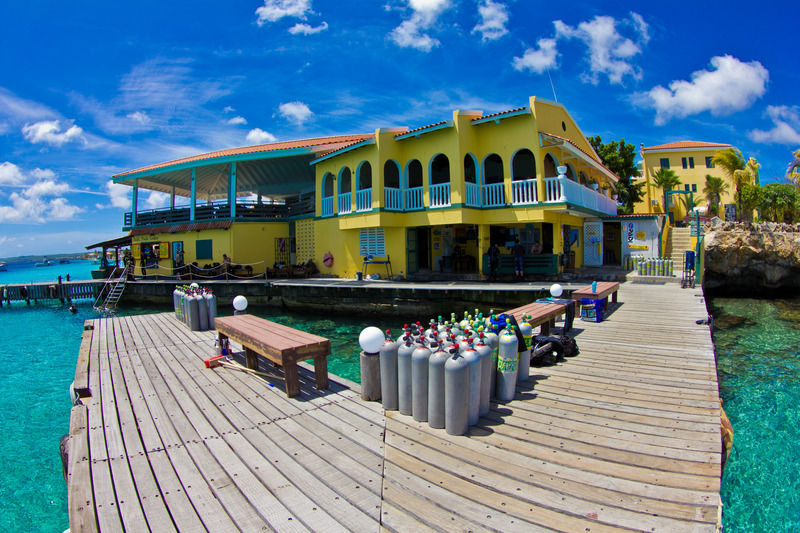 Buddy Dive Aparthotel Kralendijk (Bonaire)