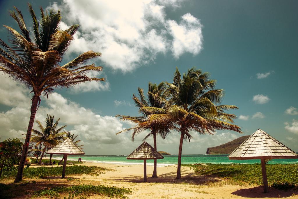 Guest house Caribbean Dream Vieux Fort