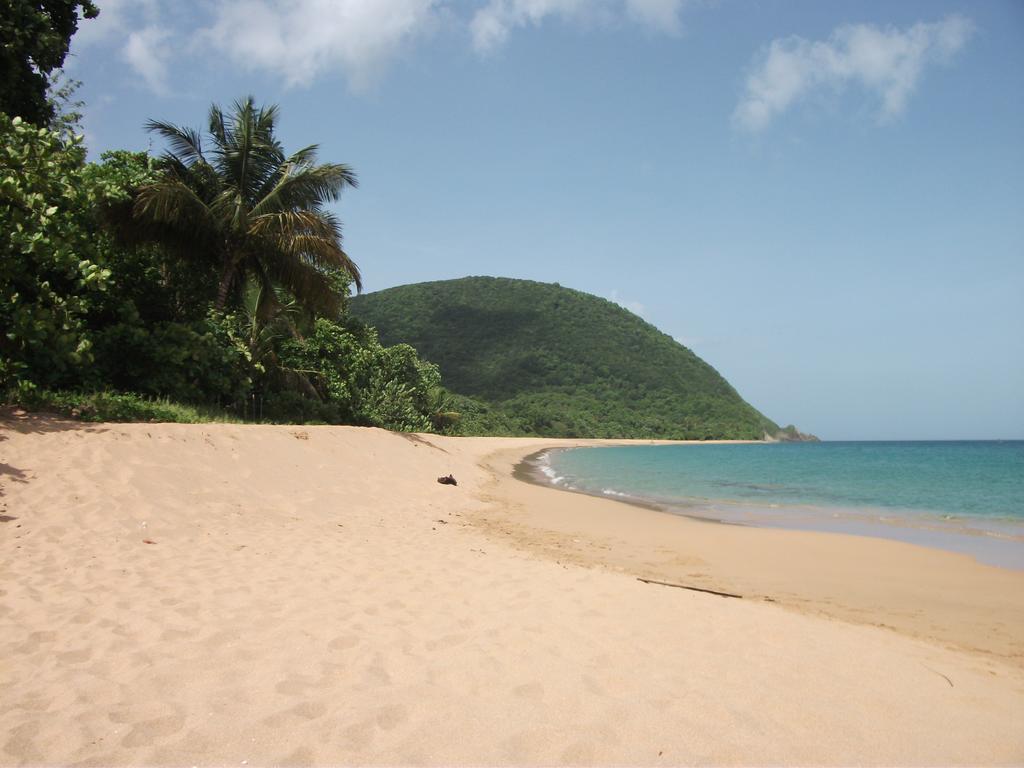 Oasis De Grande Anse