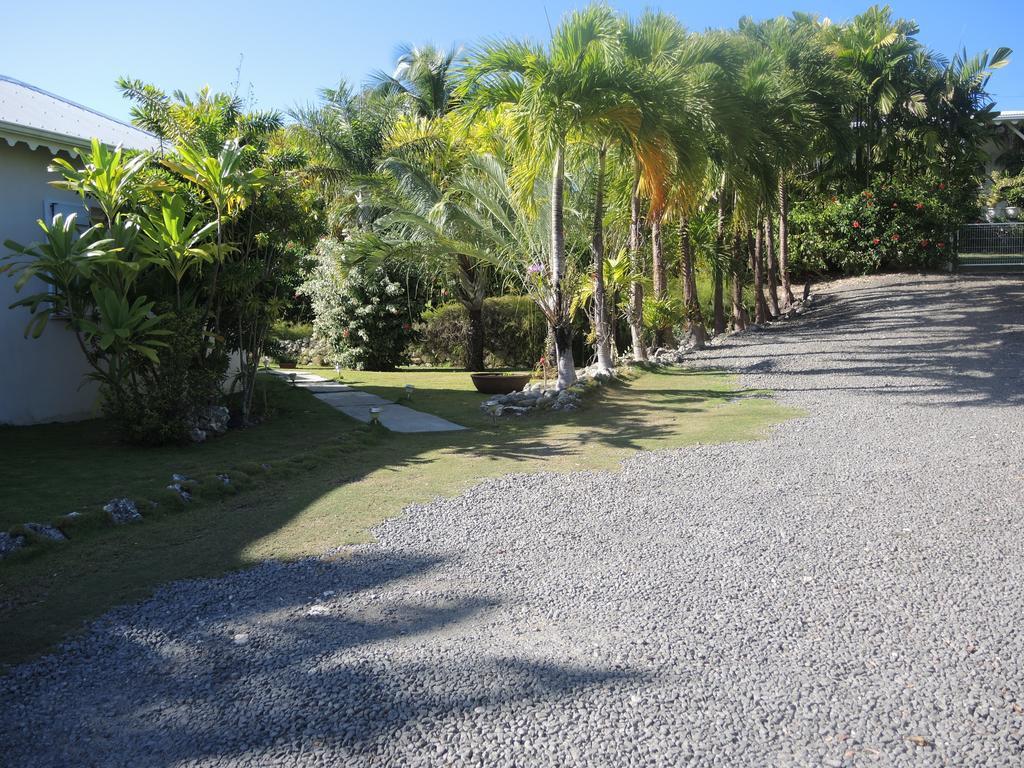 Villa Habitation De L'anse Mancenillier *
