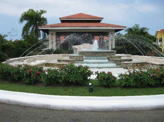 Bavaro Cortecito