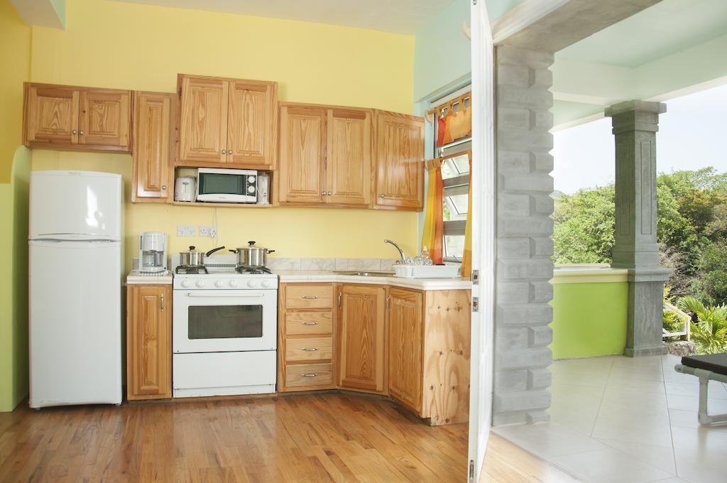 Diamond View Apartment Roseau