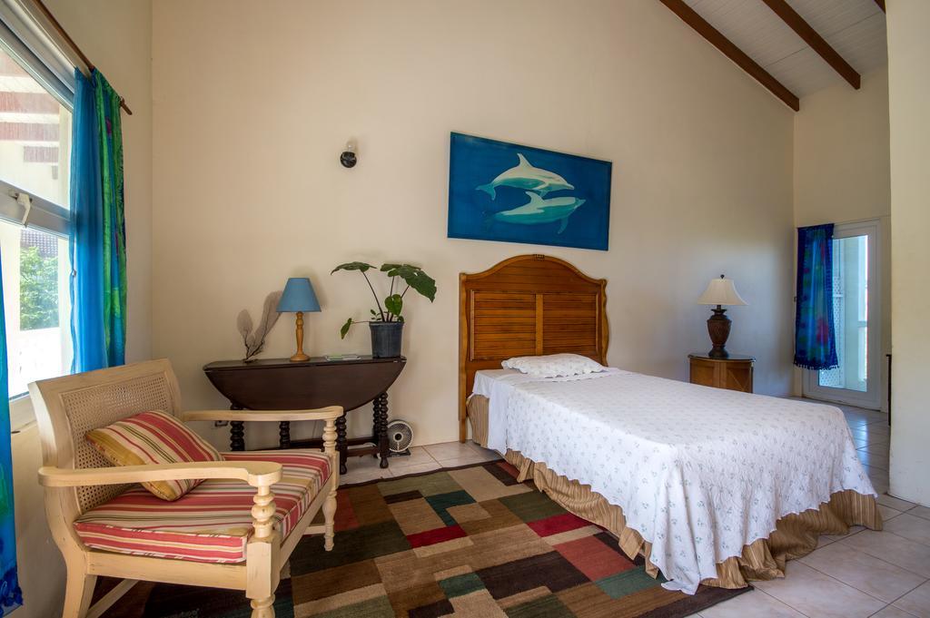 Guest house Culture House Basseterre