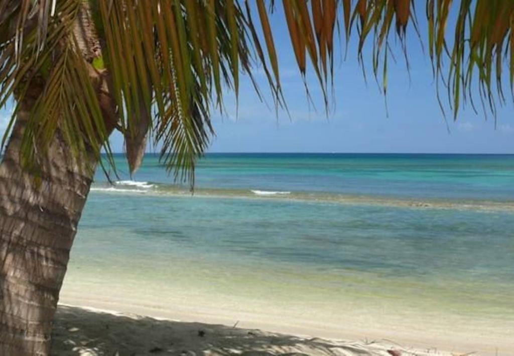 Aparthotel Ababor Suites
