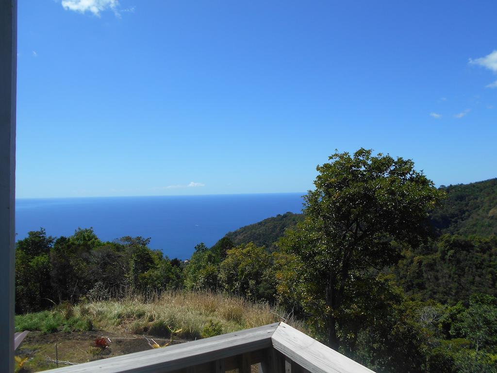 Diamond View Roseau