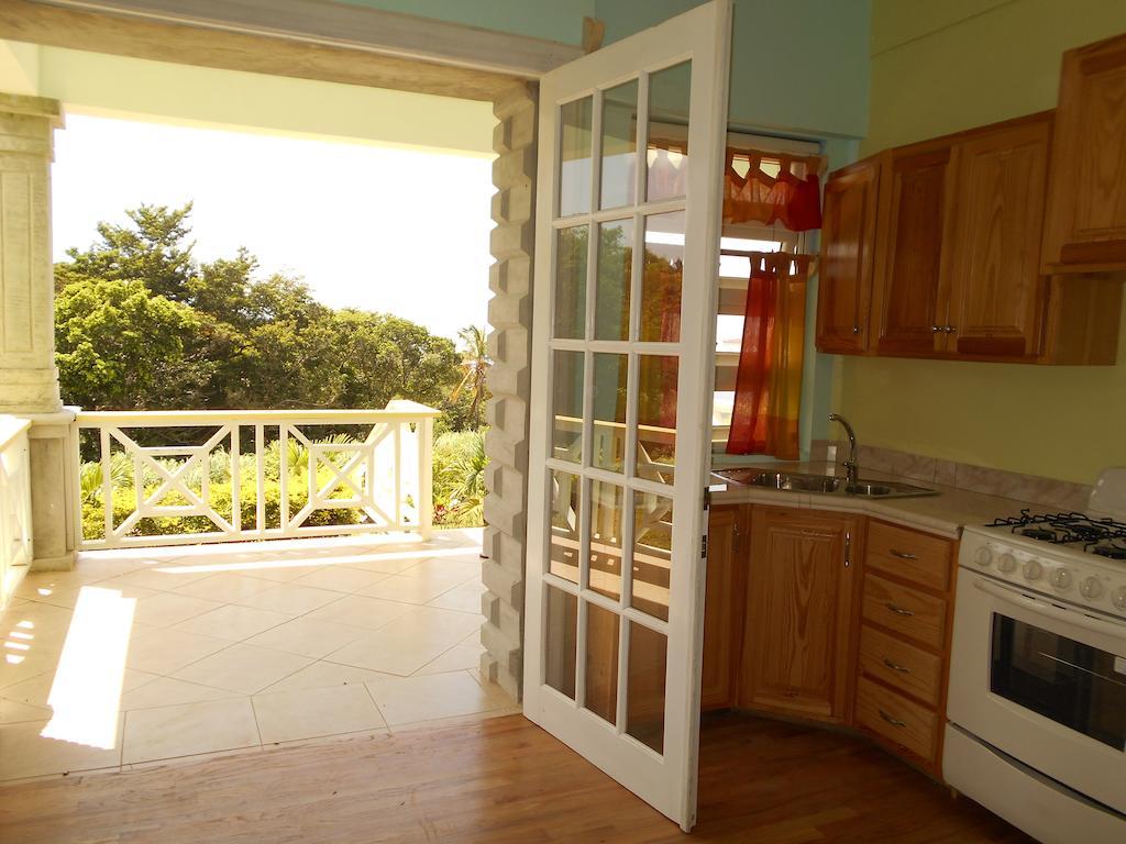 Diamond View Roseau