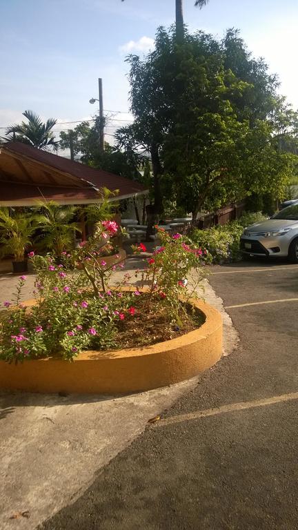 Guest house Palm Bay & Restaurant *