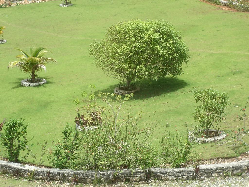 Guest house Barhanna Vista *