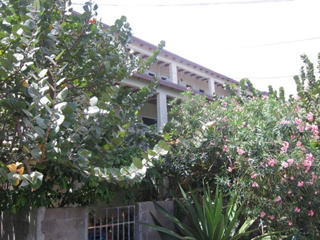 Guest house Culture House