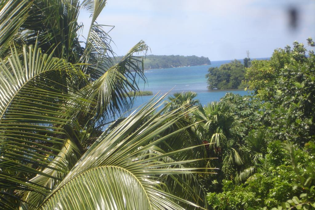 Finjam Port Antonio