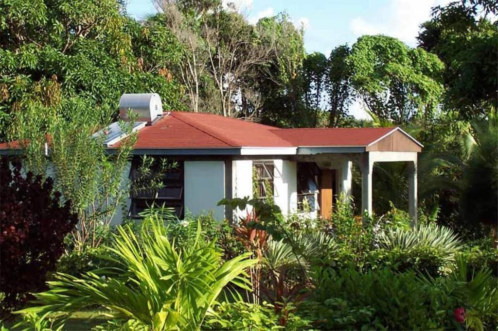 Sea Cliff Eco-cottages & Gin Distillery Holiday home