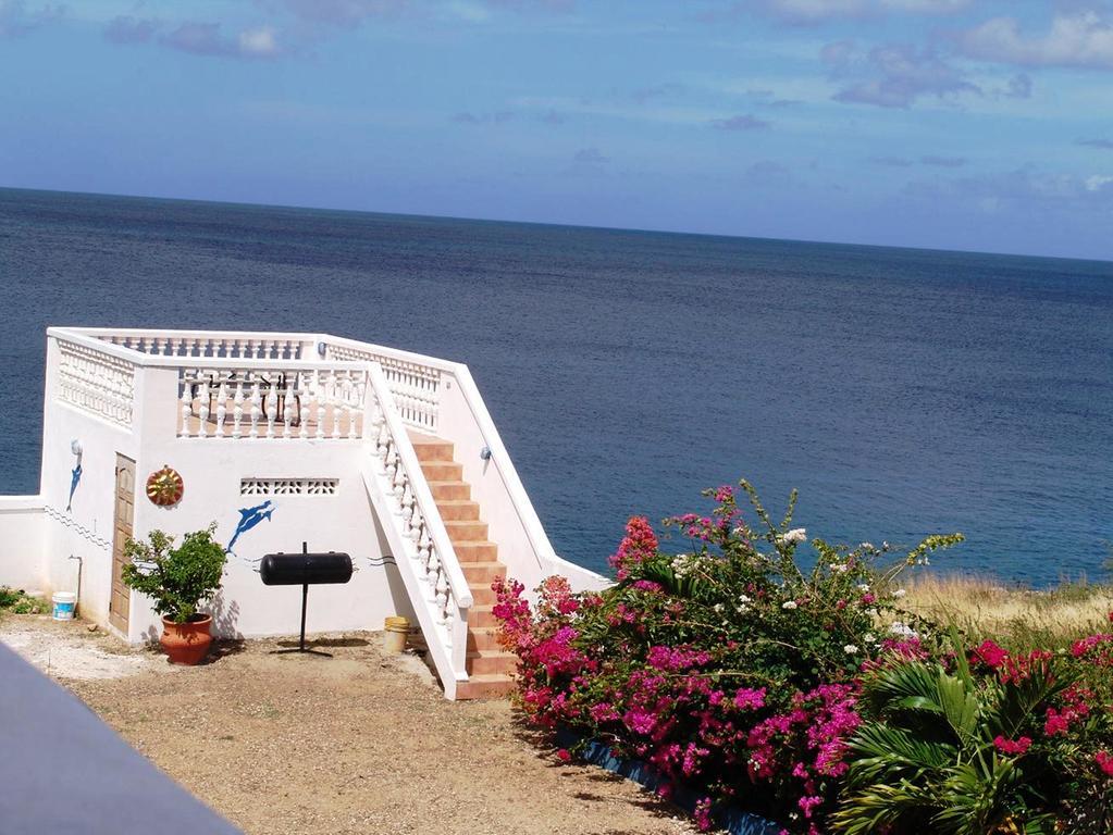 My Dream Lagun