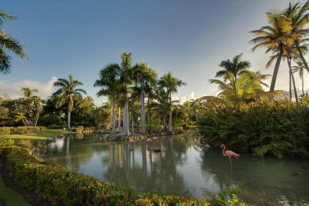 Resort Melia Caribe Tropical All Inclusive (adults Only) 5*