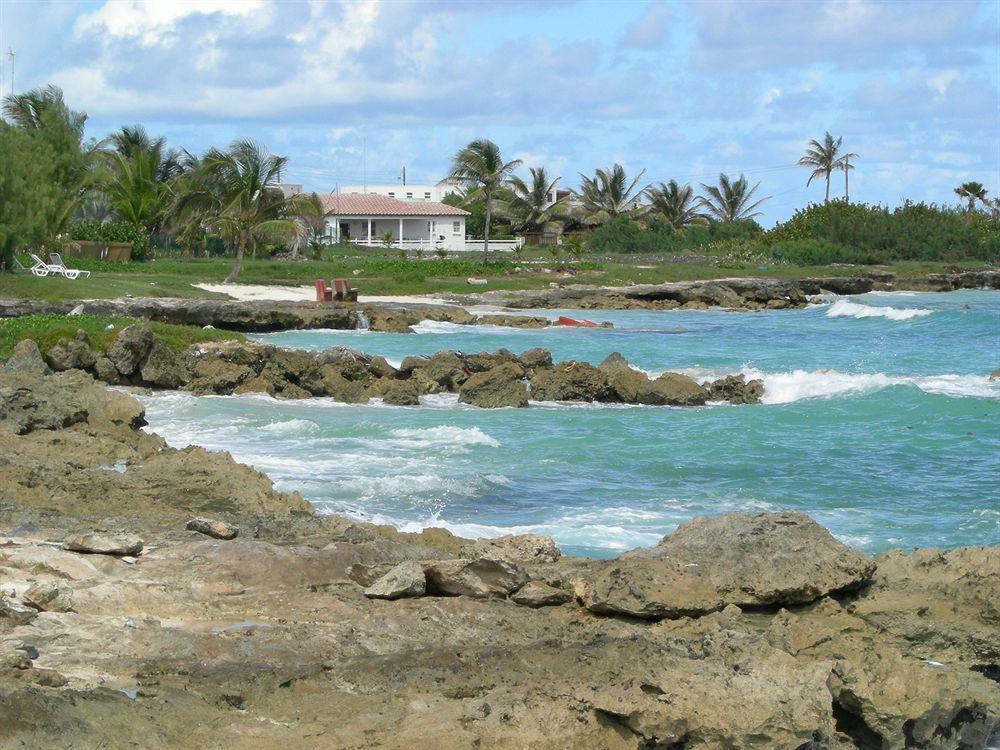 Acomodação com café da manhã  Gemini House 3*