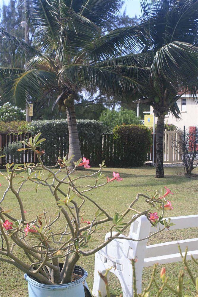 Acomodação com café da manhã  Gemini House 3*