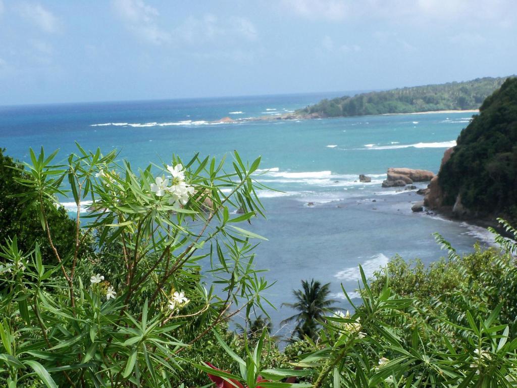 Sea Cliff Eco-cottages & Gin Distillery Holiday home Calibishie