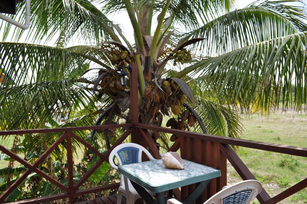 Apartment White Coconut Christ Church