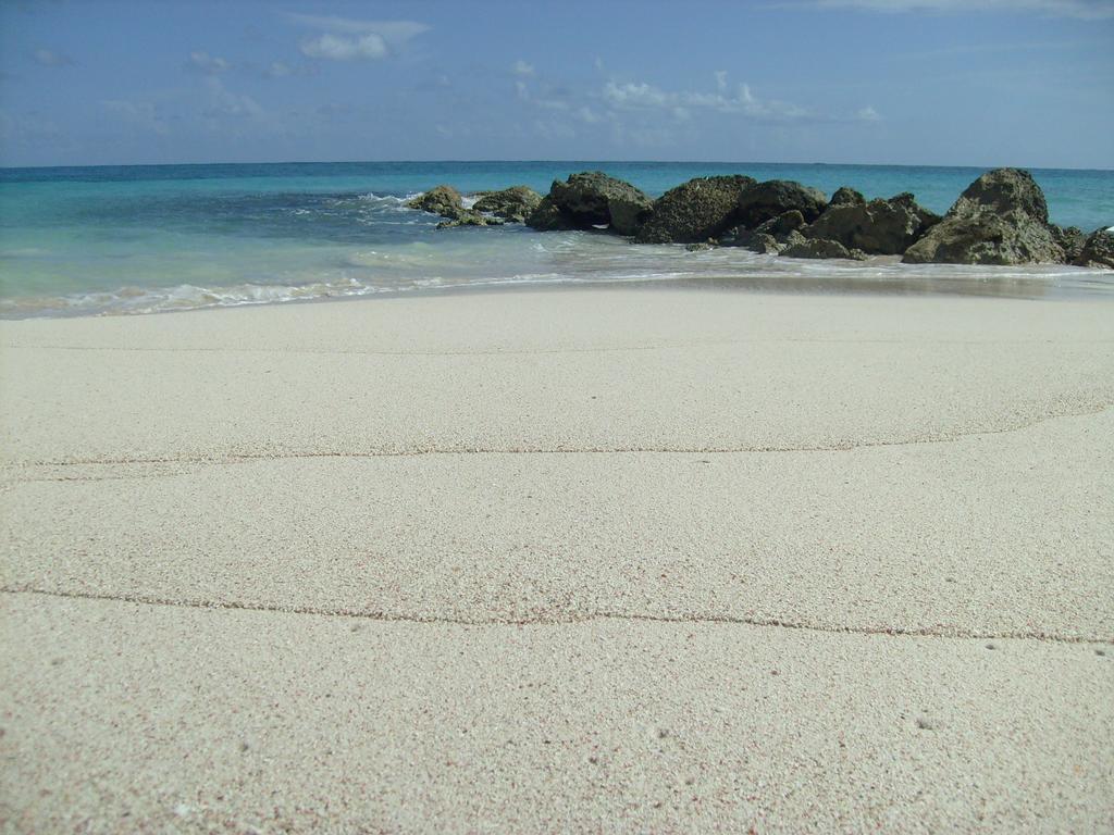 Sea-view