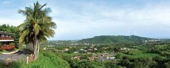 Hotel Rainforest & Ocean View At Carabali Luquillo