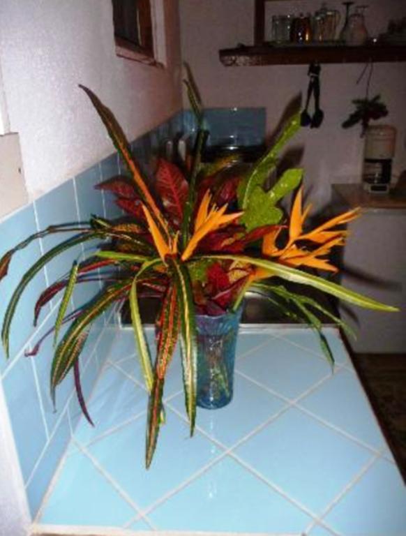 Guest house Uptown Soufriere