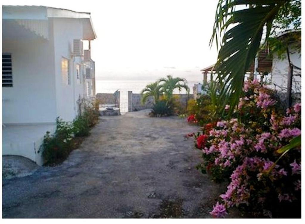 Dolphin Hearthouse Holiday home Lagun