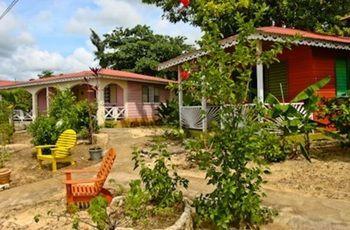 Holiday park Little Bay Cabins