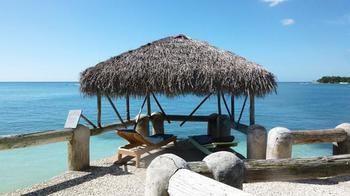 Little Bay Cabins
