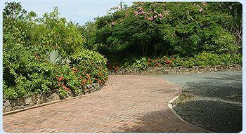 Allamanda Estate