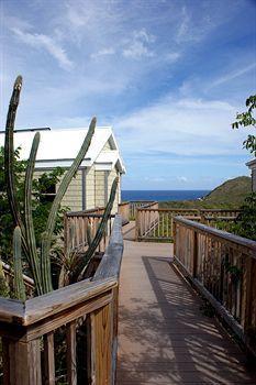 Eco Concordia