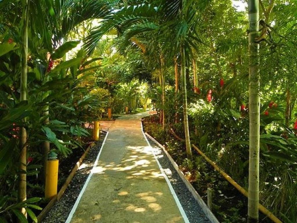 Bay View Eco &