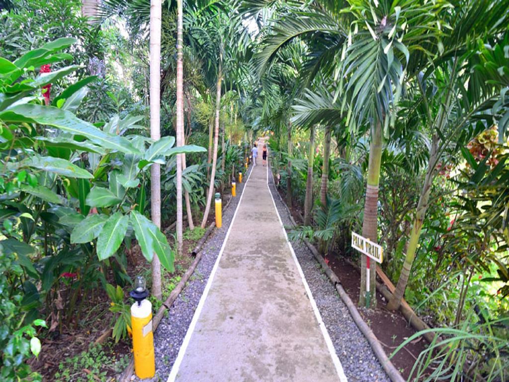 Hotel Bay View Eco & Port Antonio