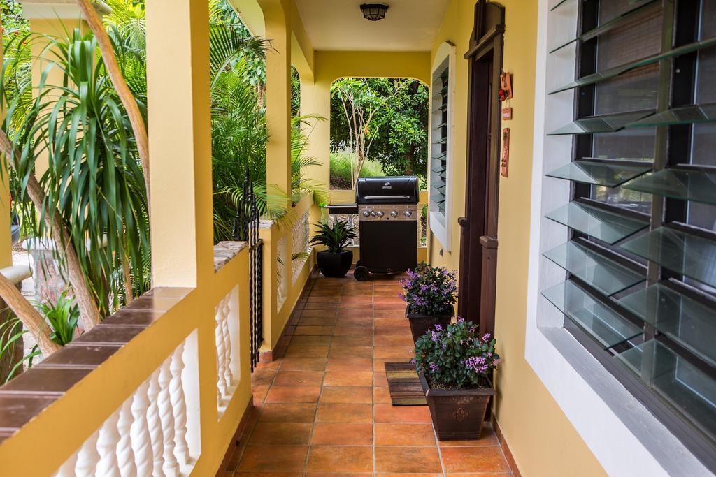 Guest house Casa D'palma *