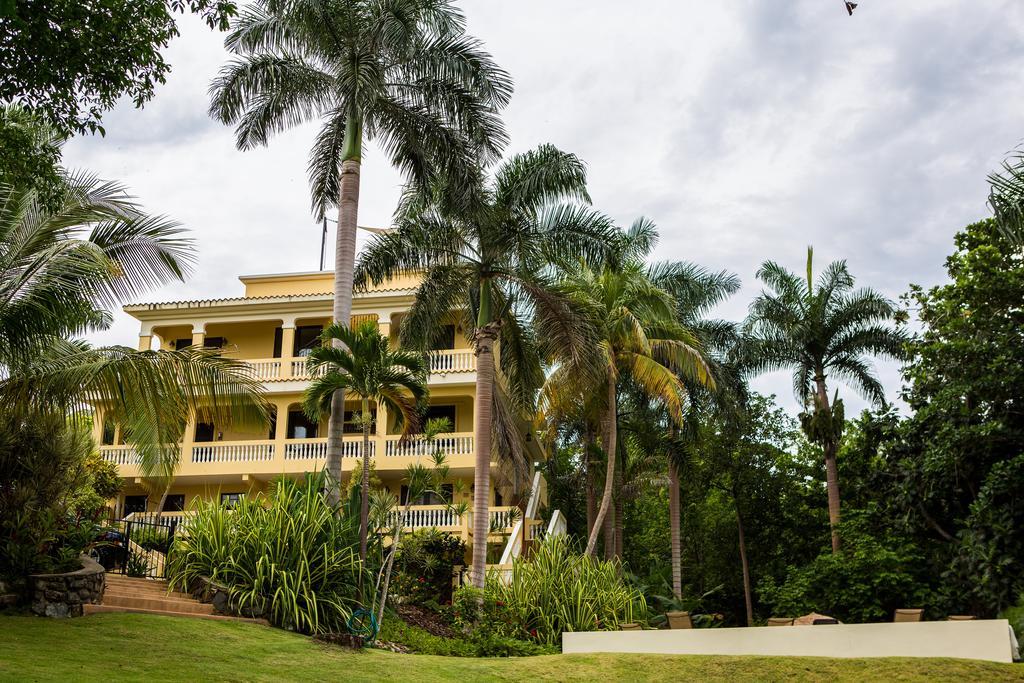 Guest house Casa D'palma *