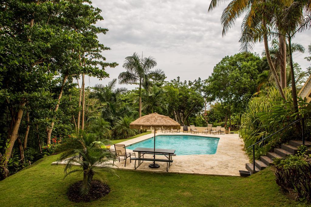 Guest house Casa D'palma *