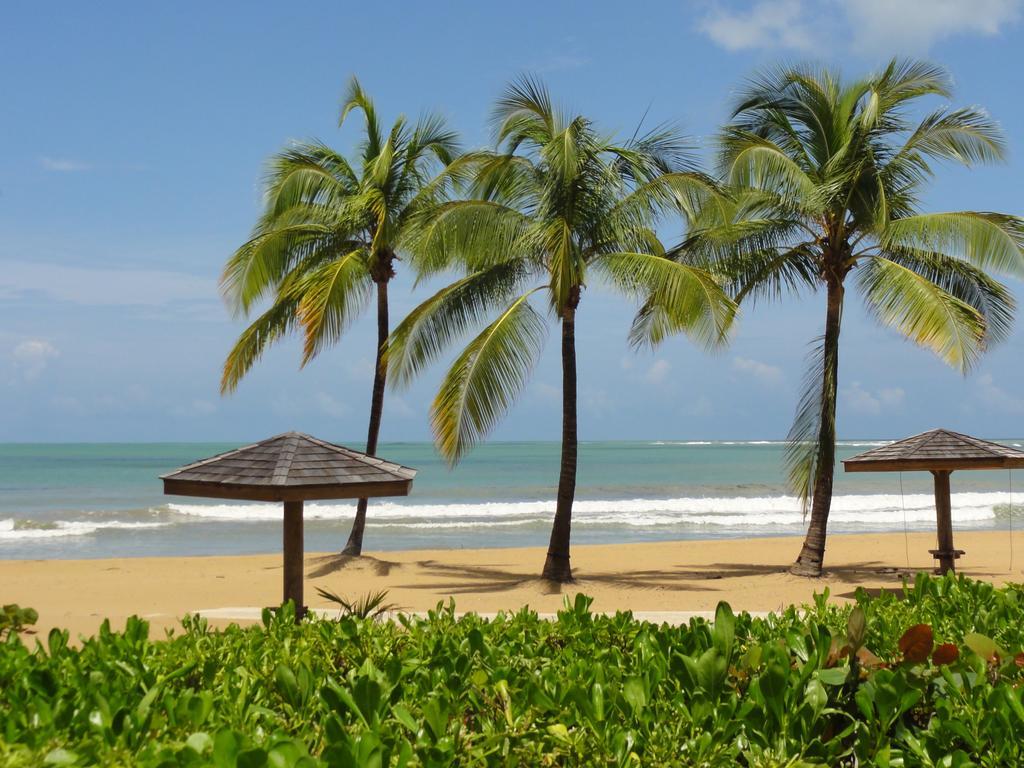 Apartamento One-bedroom Oceanfront At Rio Mar Río Grande