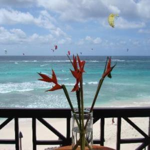Hotel Silver Point 4*